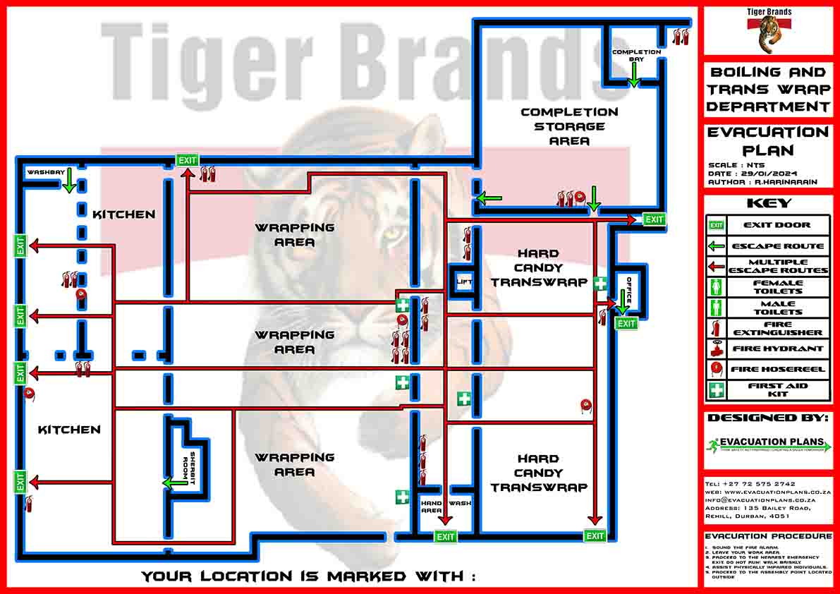 Tiger Brands